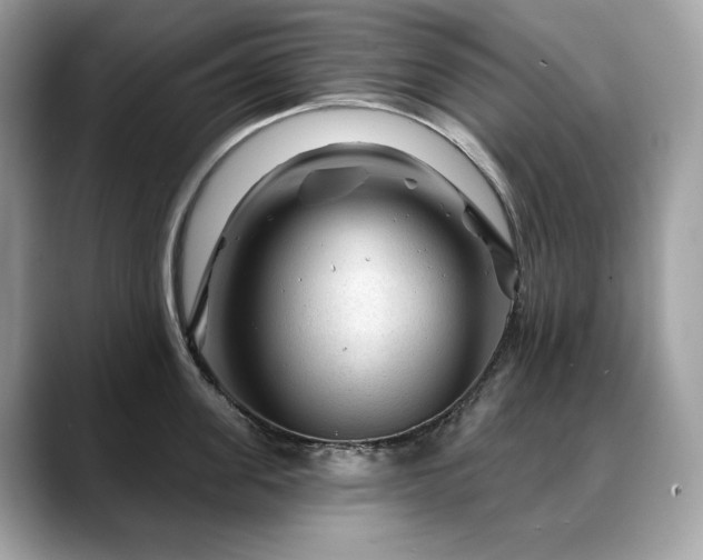 X0000088730955200705311426