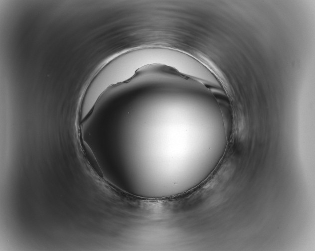 X0000088730956200705311426