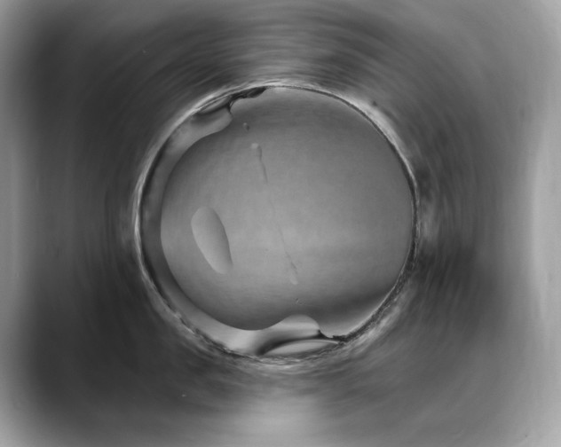 X0000088730957200705311426
