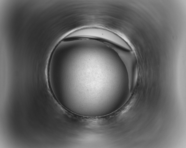 X0000088730959200705311426