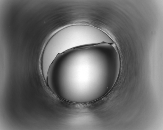 X0000088730960200705311426