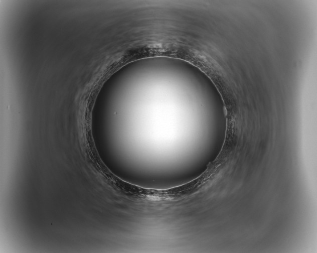 X0000088730961200705311426