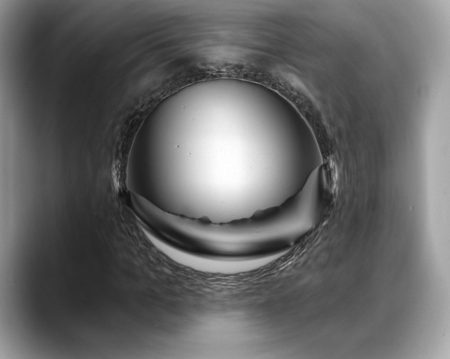 X0000088730965200705311426