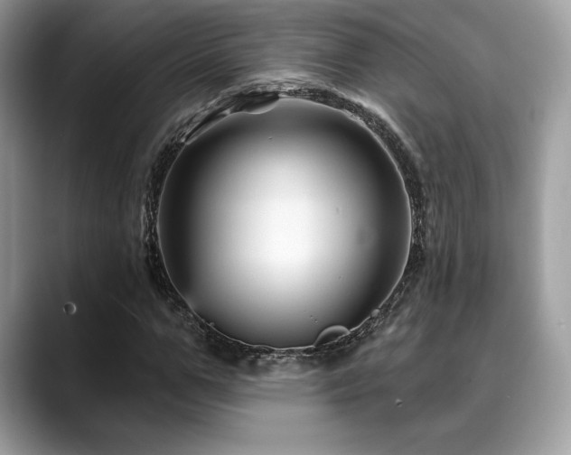 X0000088730967200705311426