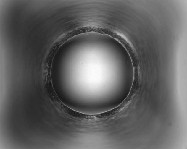 X0000088730968200705311426