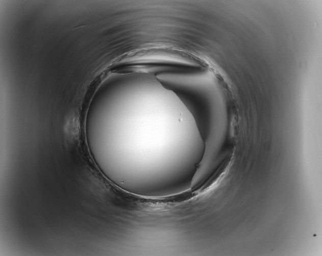X0000088730969200705311426