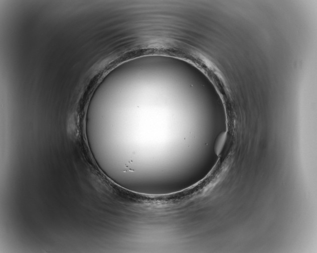 X0000088730970200705311426