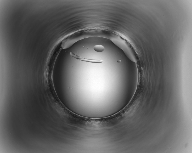 X0000088730971200705311426