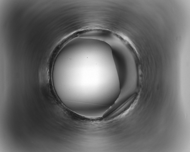 X0000088730973200705311426
