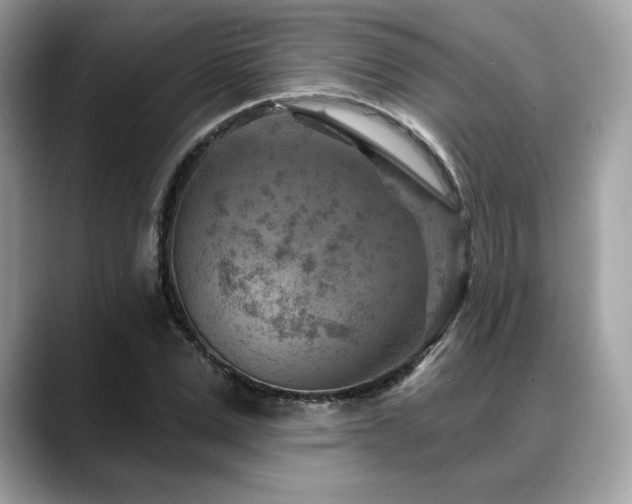 X0000088730975200705311426