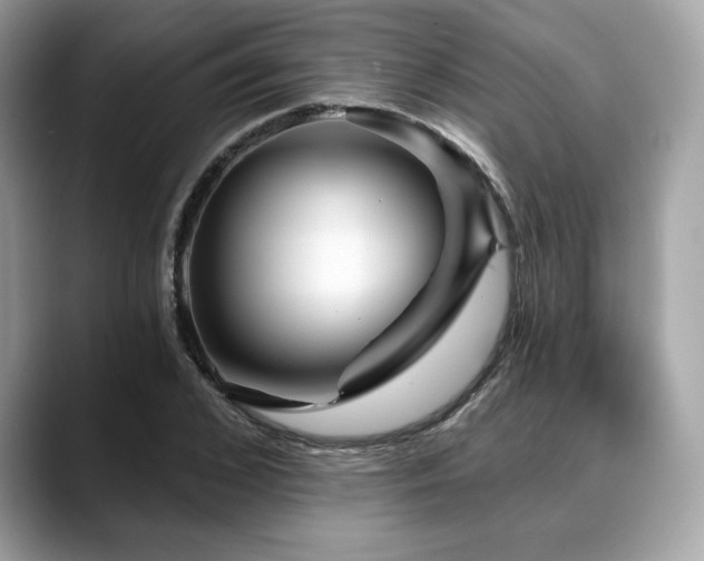 X0000088730976200705311426