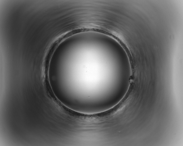 X0000088730979200705311426