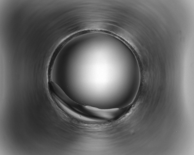 X0000088730980200705311426