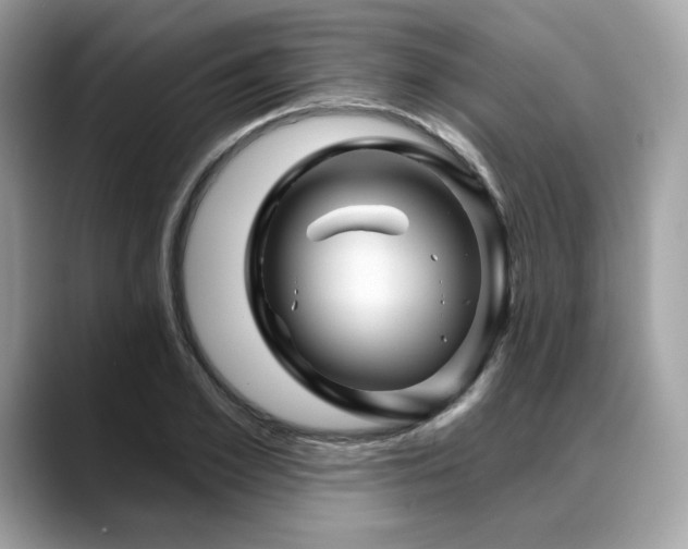 X0000088730981200705311426