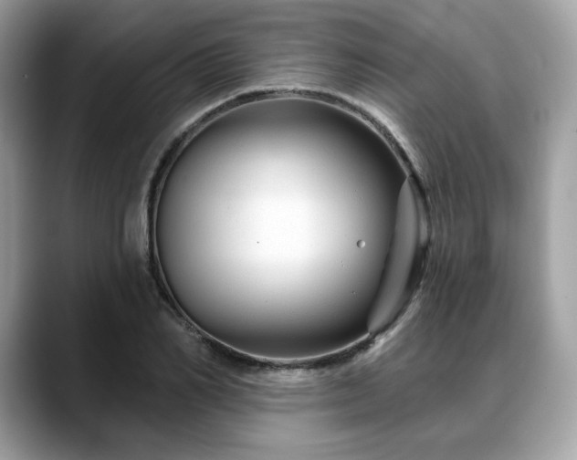 X0000088730982200705311426