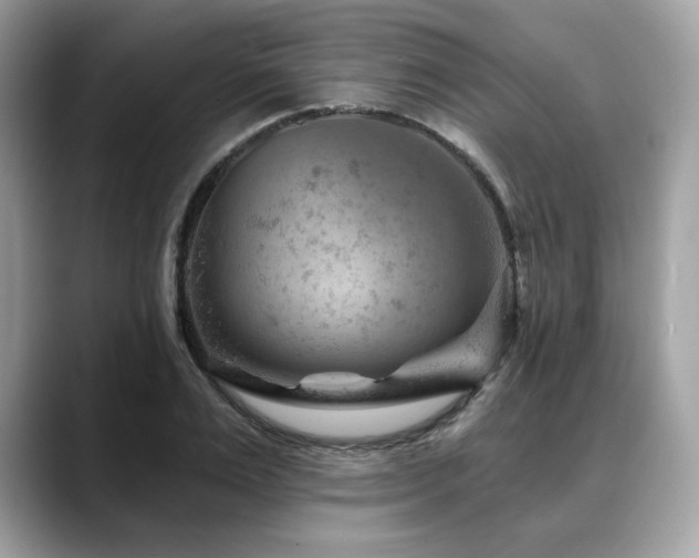 X0000088730983200705311426