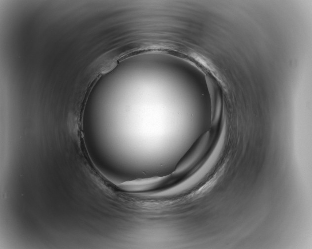X0000088730985200705311426