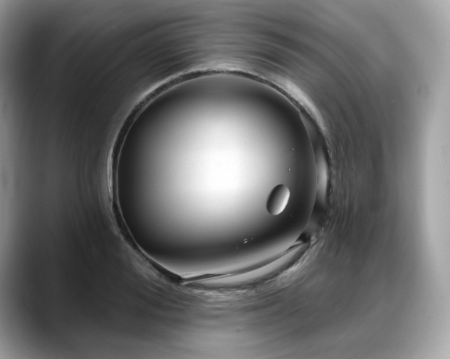 X0000088730988200705311426