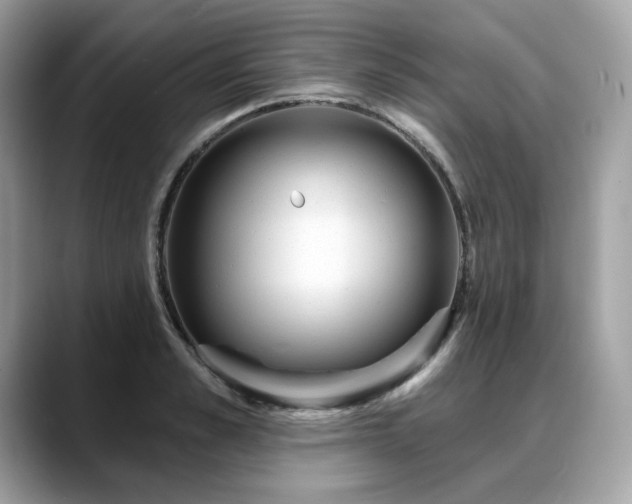 X0000088730989200705311426