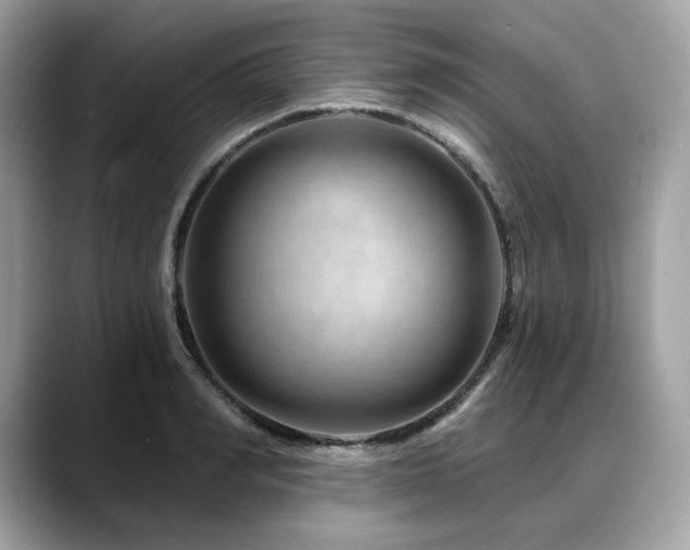 X0000088730990200705311425