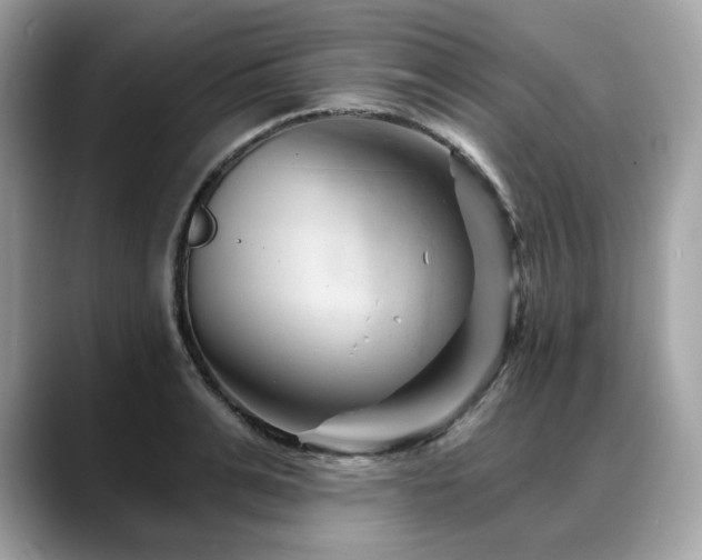 X0000088730991200705311425