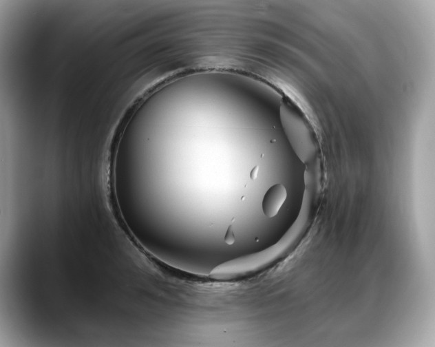 X0000088730992200705311425
