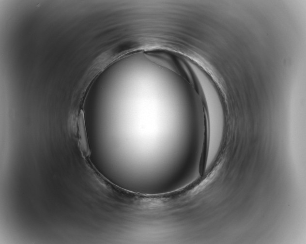 X0000088730993200705311425