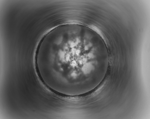 X0000088730995200705311425