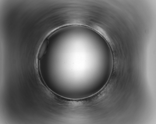 X0000088730996200705311425