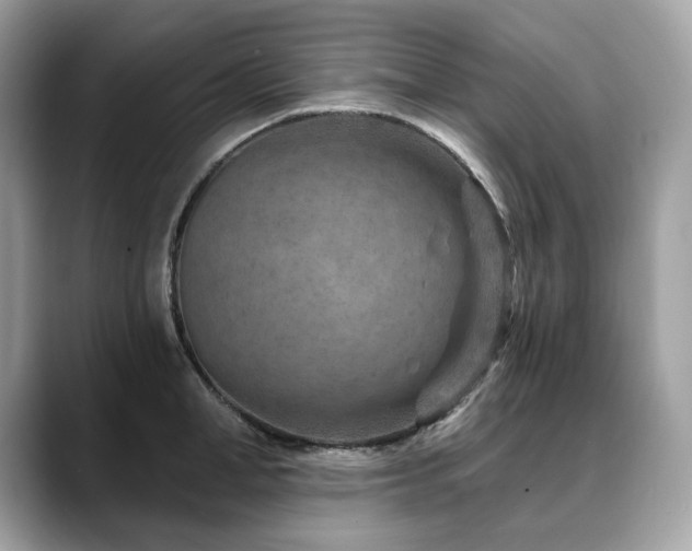 X0000088730998200705311425