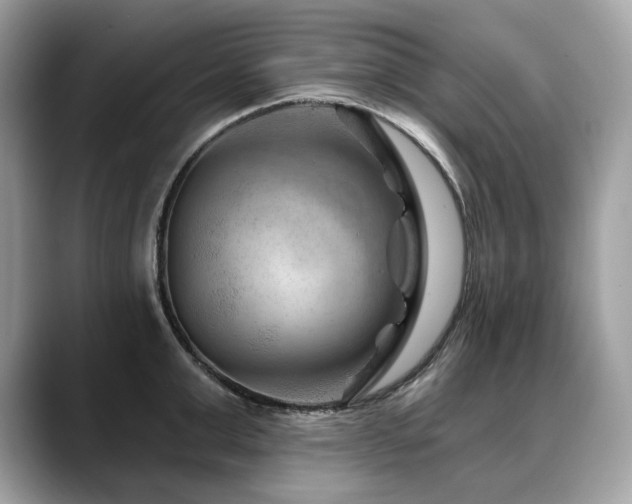 X0000088730999200705311425