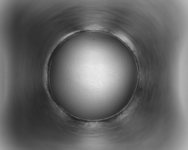 X0000088731000200705311425
