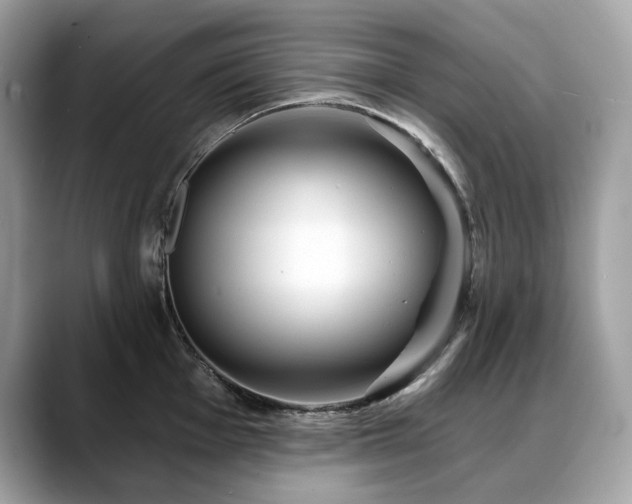 X0000088731001200705311425
