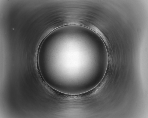 X0000088731002200705311425