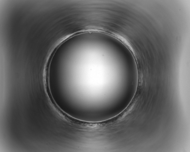 X0000088731003200705311425