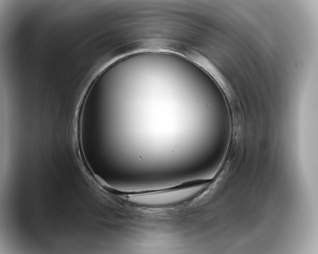 X0000088731004200705311425