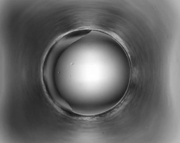 X0000088731005200705311425