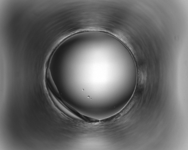 X0000088731006200705311425