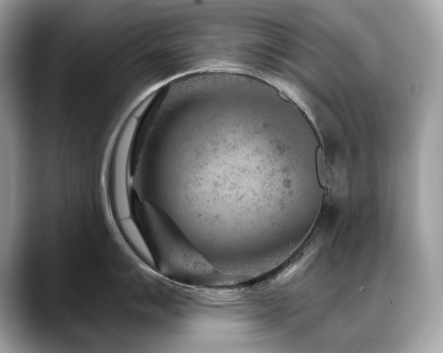 X0000088731007200705311425