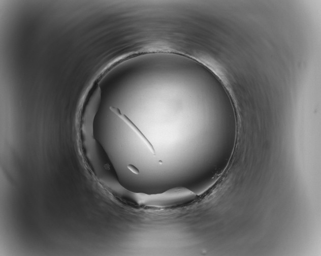 X0000088731008200705311425