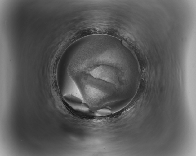 X0000088731009200705311425