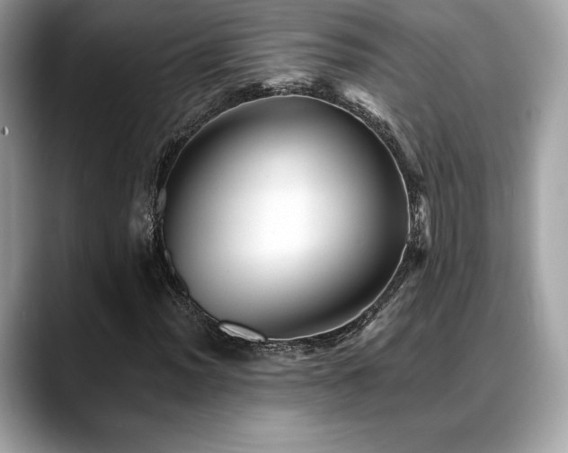 X0000088731012200705311425