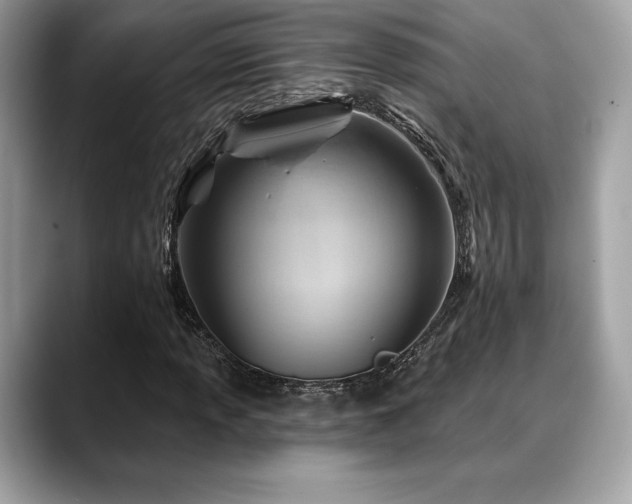 X0000088731013200705311425