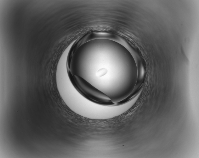X0000088731014200705311425