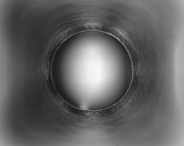 X0000088731015200705311425