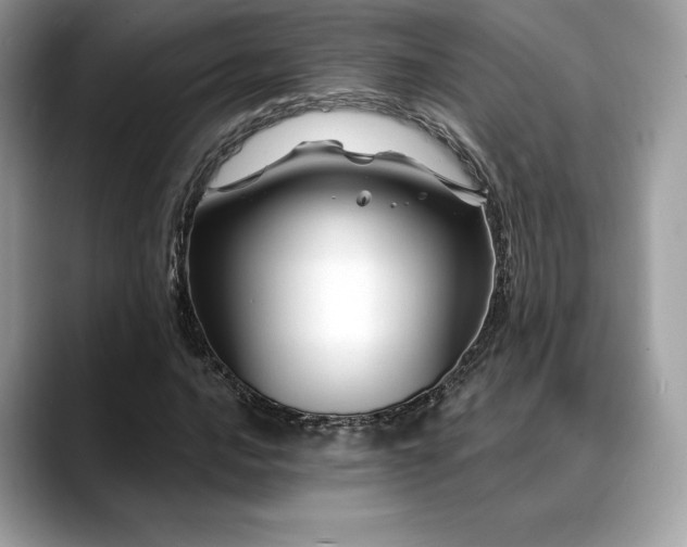 X0000088731016200705311425