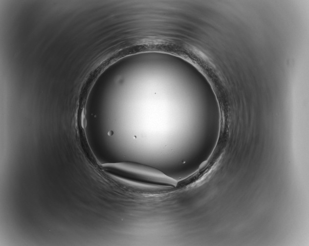 X0000088731017200705311425