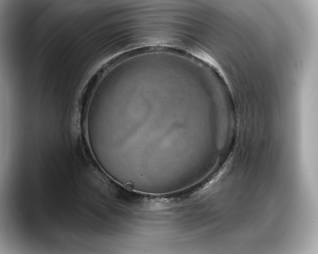 X0000088731019200705311425