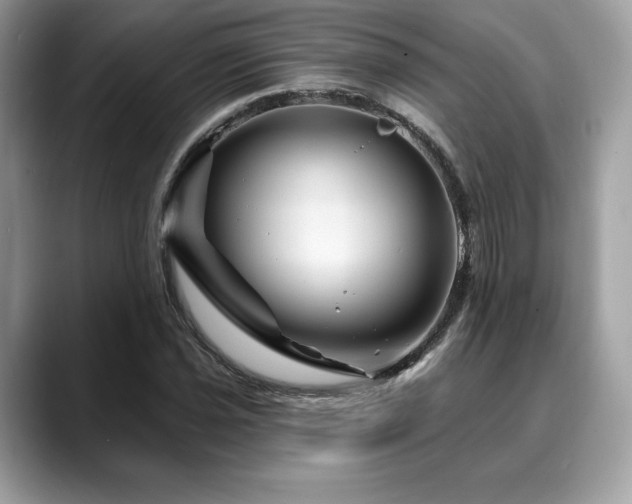 X0000088731021200705311425