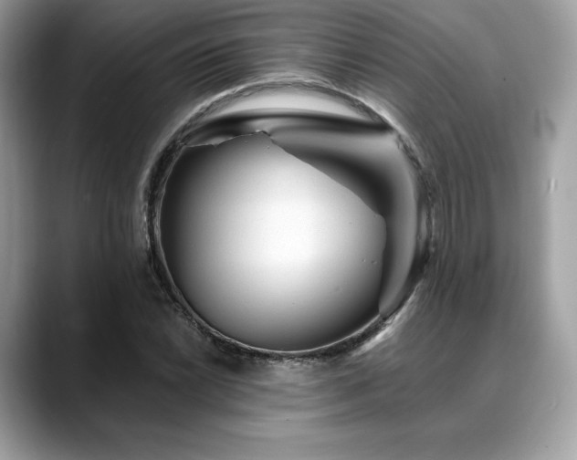 X0000088731022200705311425